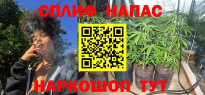 крисы Татарск